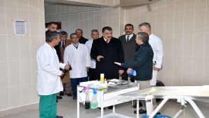 2020 yılında bin 125 sokak hayvanının bakımı yapıldı