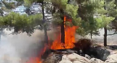 Adıyaman'da orman yangını