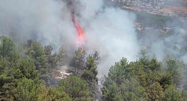 Adıyaman'daki orman yangını havadan görüntülendi