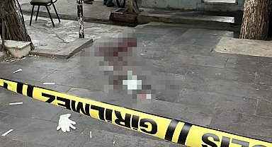 Diyarbakır'da iki kardeşin kavgasında kan döküldü