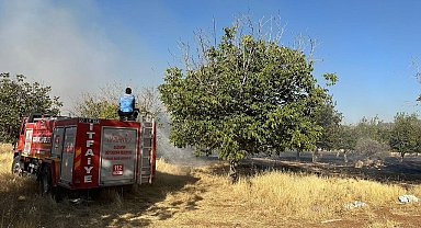 Gaziantep'te örtü yangınını itfaiye ve vatandaşlar söndürdü