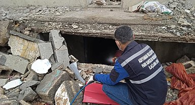 Haşere ilaçlama çalışmaları devam ediyor