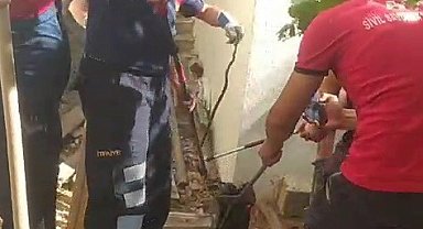 Odunlukta görülen yılan korkuttu