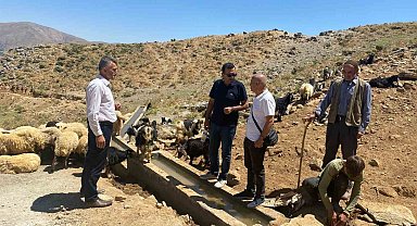 Siirt'te 70 metrelik betonarme hayvan su içme yalakları tamamlandı