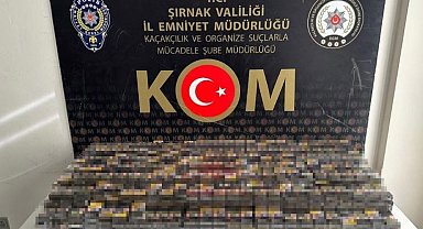 Şırnak'ta asayiş ve kaçakçılık operasyonu: 38 gözaltı