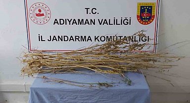 Adıyaman'da kubar esrar maddesi ele geçirildi