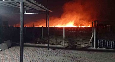 Anız yangını bahçeye sıçradı