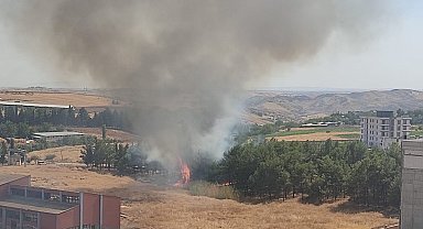 Çamlık alanda çıkan yangın paniğe neden oldu