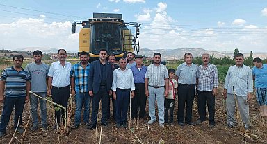 Kaymakam Seyhan ayçiçeği hasadına katıldı
