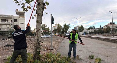 Adıyaman Belediyesi budama çalışmalarına devam ediyor
