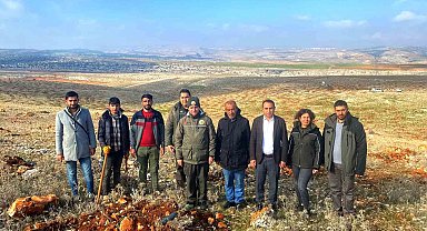 Besni Kaymakamı Partal dikilen fidanları inceledi