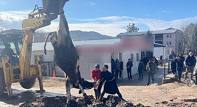 Banka müdürünün tayini çıktı diye tosun kestiler