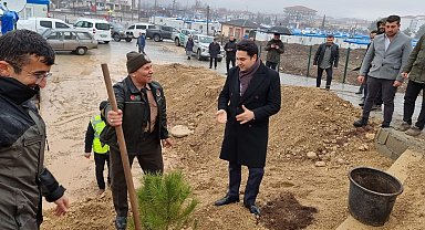 Konteyner kentte fidanlar toprakla buluşturuldu