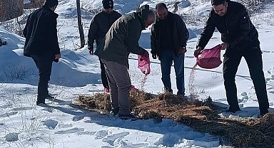 Yaban hayvanları unutulmadı