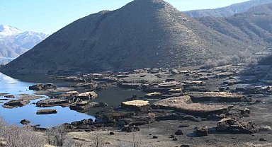 'Yüzen adaları kurtarma projesi desteklenecek
