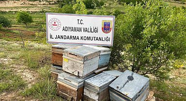 Çalınan arı kovanları jandarma tarafından bulundu