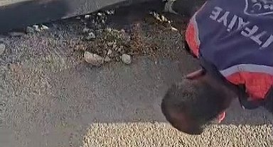 Konteyner altında kalan yavru köpek itfaiye tarafından kurtarıldı