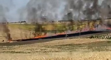Adıyaman'da 40 dönümlük buğday tarlası yandı