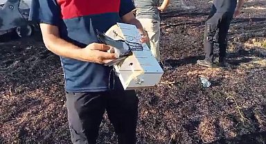 Boş tarlada yanan otomobil hurdaya döndü