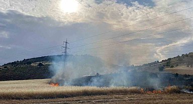 Gölbaşı ilçesinde arpa tarlası yandı
