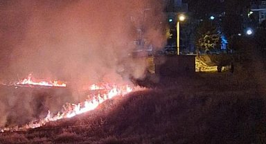 Havai fişek yangına neden oldu