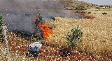 Kaza sonrası buğday tarlaları cayır cayır yandı