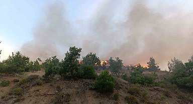 Kızılçam ormanında korkutan yangın