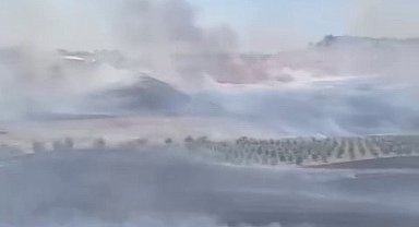 Köyde çıkan anız yangını güçlükle söndürüldü