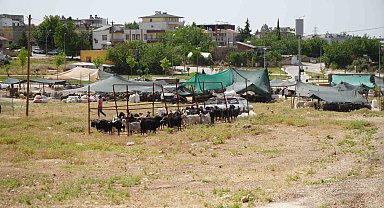 Kurban kesim ve satış alanları belirlendi