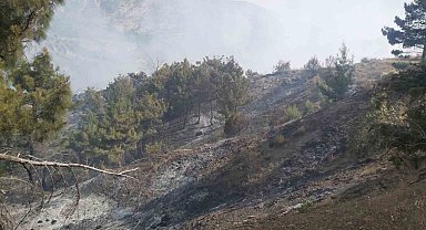 Ormanlık alanda çıkan örtü yangını söndürüldü