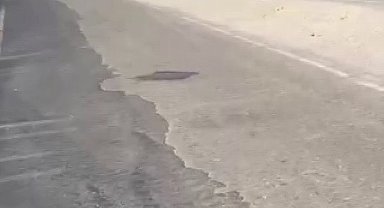 Polis, suçluyu yakalamak için değil, hayat kurtarmak için koştu