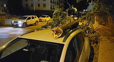 Şiddetli rüzgardan kırılan ağaç dalı aracın üzerine düştü