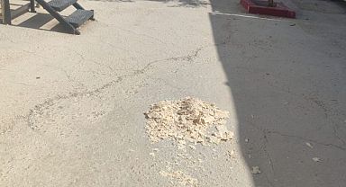Vartana Geçici Prefabrik Kentte Ekmeğe Büyük Saygısızlık