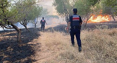 Adıyaman'da örtü yangını ormanlık alana sıçradı