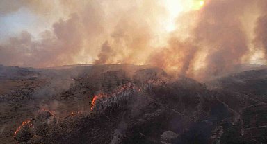 Adıyaman'daki orman yangınına müdahale sürüyor