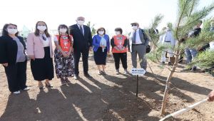 27 milyon fidan hedefi için destek sürüyor
