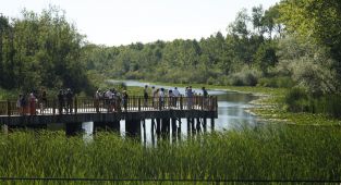 Acarlar Longozu yaz sezonunda turizmin gözdesi oldu