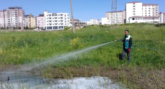 Adıyaman Belediyesi, Göle Dönen Arazilerde İlaçlama Çalışması
