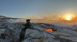 Adıyaman Belediyesi itfaiyesi 2 ayda 350 olaya müdahale etti