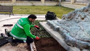Adıyaman Belediyesi Kent Merkezini Çiçeklendiriyor