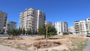 Adıyaman Belediyesi 'Mahalle Bahçeleri’ projesiyle örnek oluyor