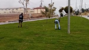 Adıyaman Belediyesi’nden Kış Bakımı