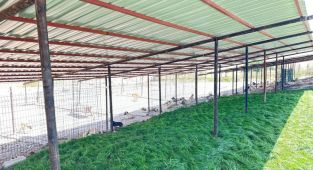 Adıyaman Belediyesi sokak hayvanlarına güvenli yuva sağladı