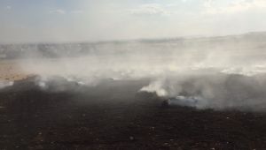 Adıyaman'da 15 ton saman balyası kül oldu - Videolu Haber