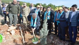 Adıyaman’da 175 Bin Fidan Toprakla Buluştu - Videolu Haber