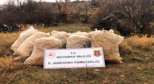 Adıyaman’da 475 kiloluk tütün hırsızlığına 2 gözaltı