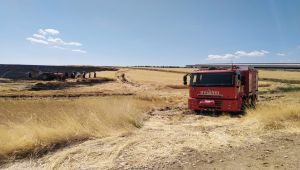 Adıyaman'da 70 dönüm arpa ve buğday ekili tarla yandı