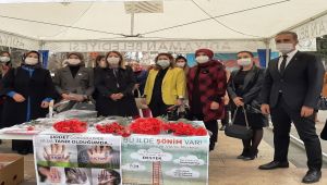 Adıyaman'da 8 Mart Dünya Kadınlar Günü kutlandı