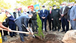 Adıyaman'da 82 bin fidan toprakla buluştu