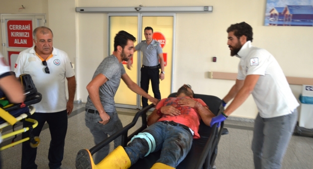 Adıyaman'da acemi kasaplar kendilerini yaraladı - Videolu Haber